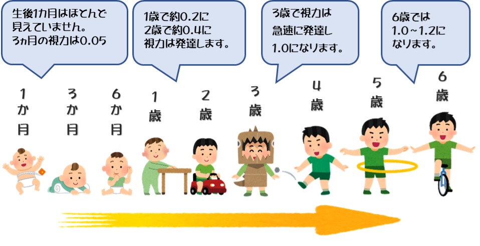 子どもの視力が成長とともに発達していく様子を示した図
